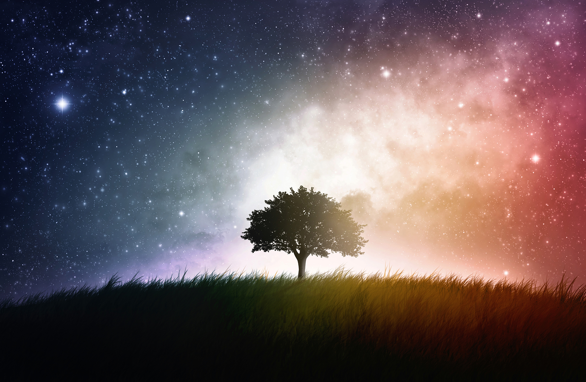 tree_alone